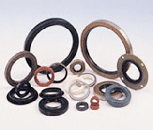 Oil Seal