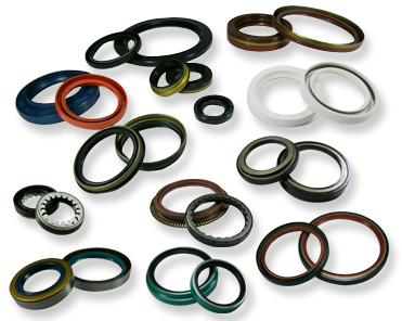 Oil Seal