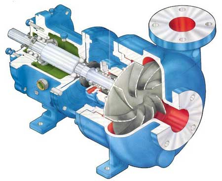Cross Sectional View of Pump